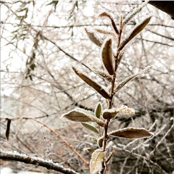 Meet your posher, Mel - Picture 3 of 3